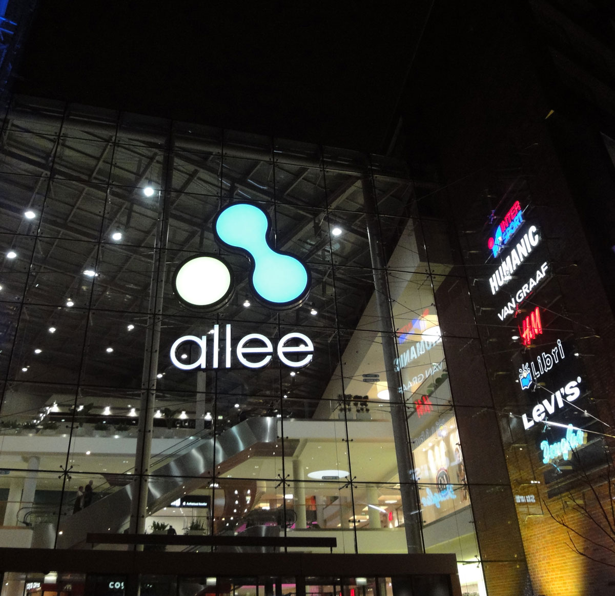View of Allee from outside at night